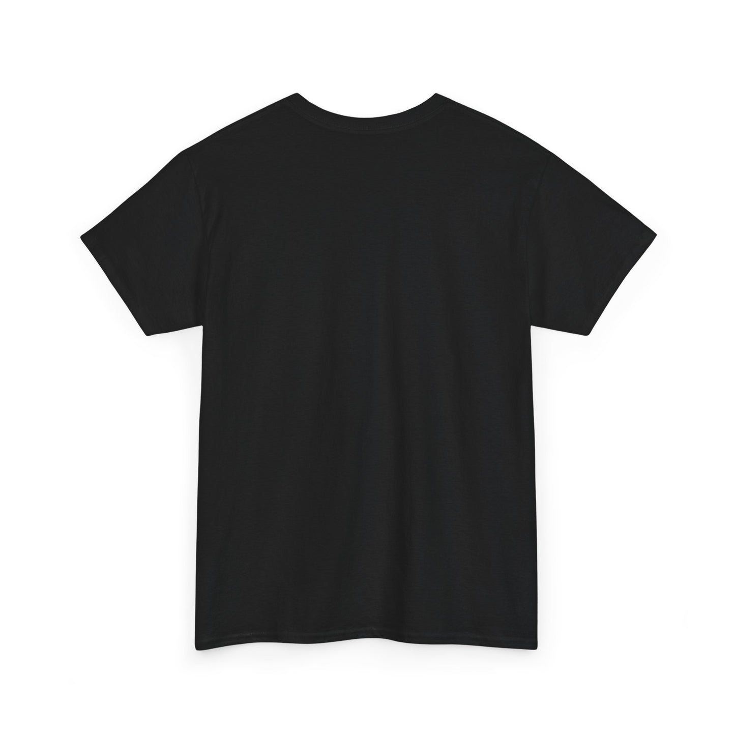 Solo Leveling Anime T-Shirt | Unisex Fit